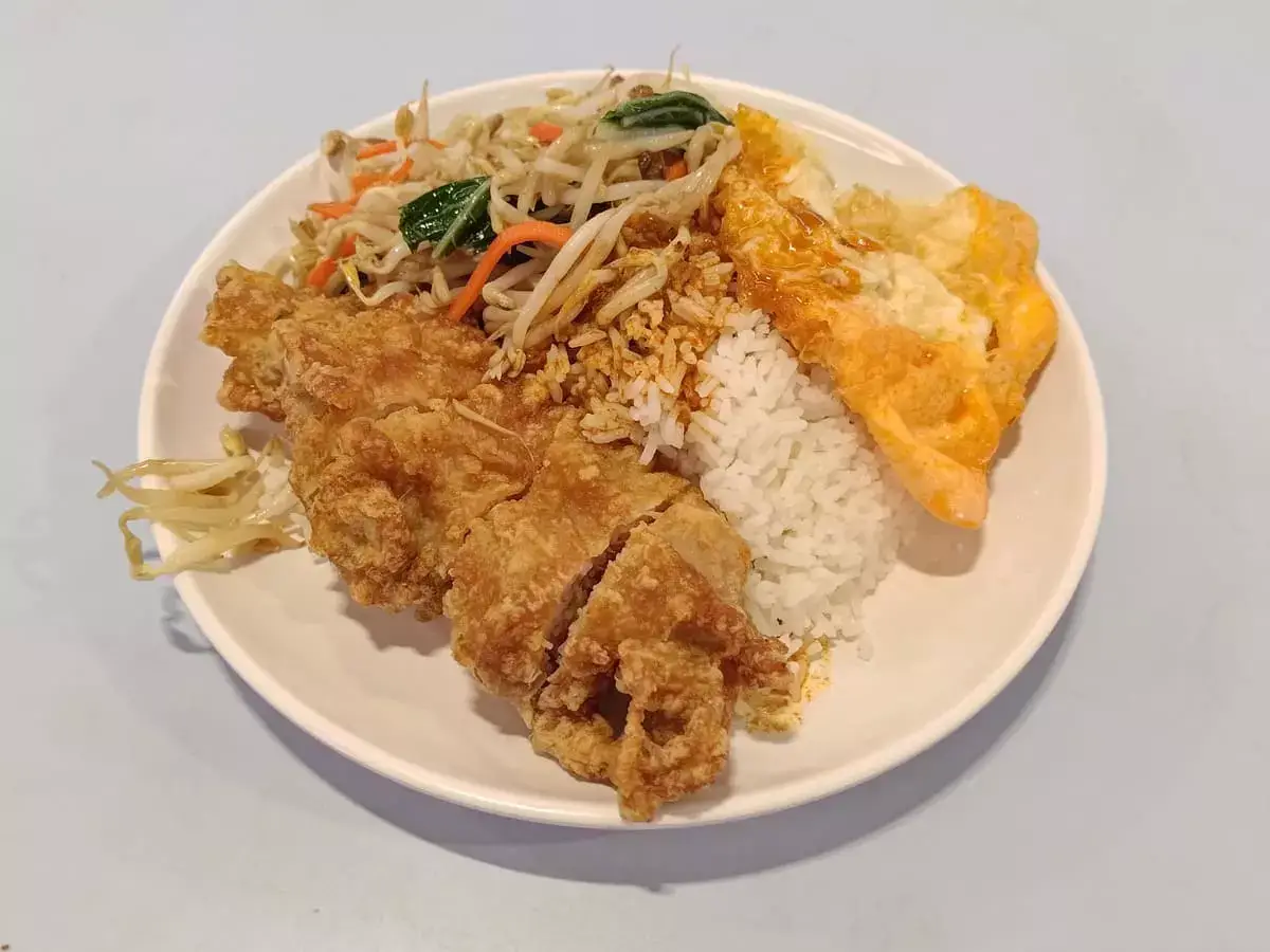 Chang Cheng Mixed Vegetables Rice: Chicken Cutlet, Bean Sprouts, Fried Egg with Rice & Curry