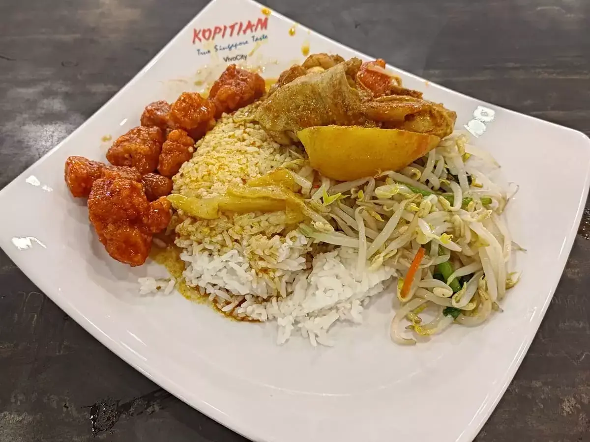 Hao Wei Economic Rice: Sweet Sour Pork, Bean Sprouts & Curry Chicken with Rice