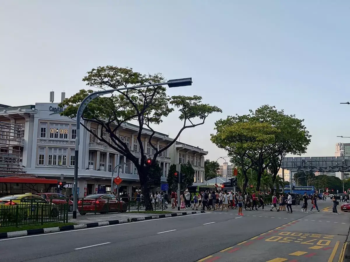 Bugis Traffic Crossing Scene